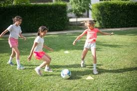 传《宝可梦传说Z-A》易遇异色宝可梦秘方