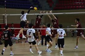 老妇人强势逆转!尤文图斯3-0大胜萨索洛，戴维传射闪耀全场